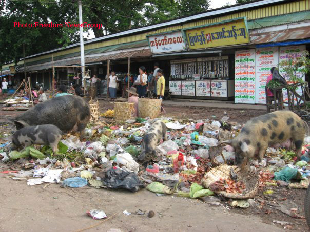ပဲခူးတိုင္း သာယာ၀တီ ၿမိဳ ့လည္ေခါင္တြင္ ရွိေသာလမ္းေဘး အမႈိက္ပံုတြင္ ၀က္မ်ားေပေရညစ္ပတ္စြာ အစာရွာေန ၾကသည္ကို ဧၿပီလ ၃၀ ရက္ေန ့ညေန ေလး နာရီ က ေတြ ံရစဥ္