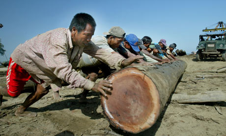 တရုတ္နယ္စပ္ဘက္ ခိုးထုတ္ခံေနရသည့္ ျမန္မာ့ သစ္မာမ်ား ဓာတ္ပံု-ဂါးဒီးယန္း သတင္းစာ