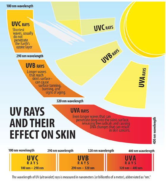 uv_ray_graphic_560w