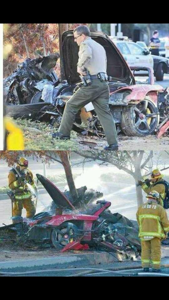 1467453_654481344574387_1160310175_n